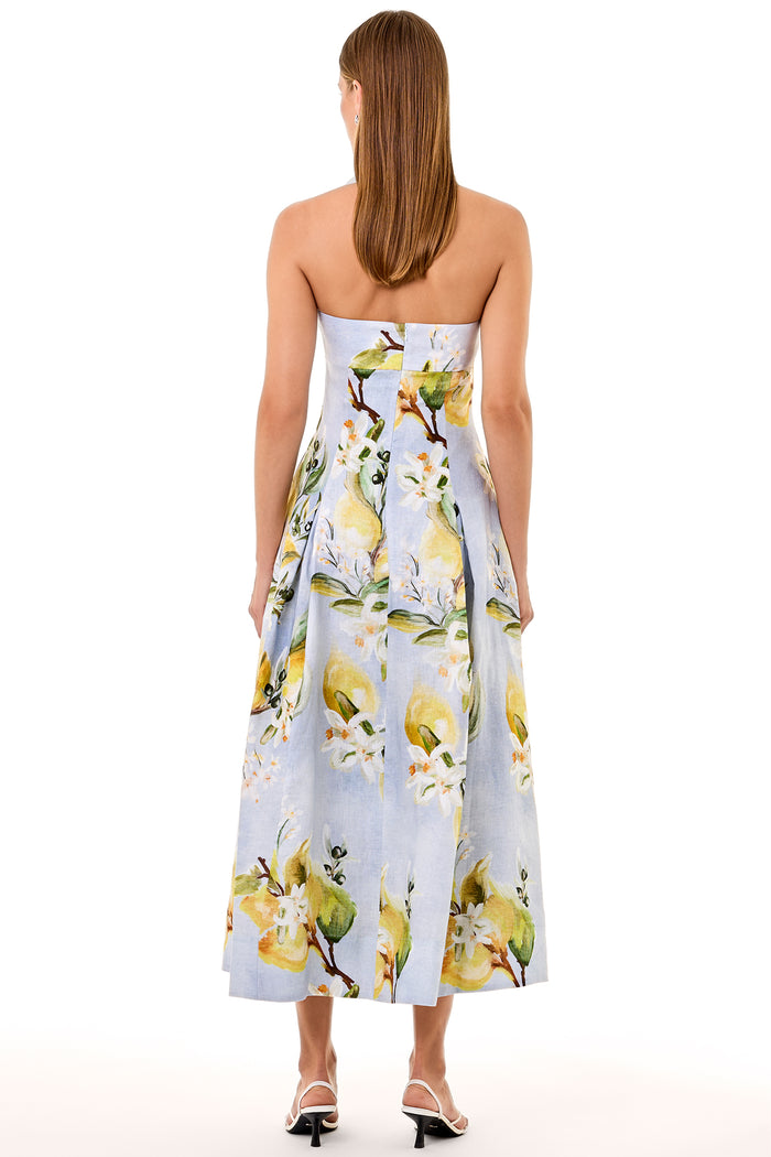 SERAPHINA DRESS - ANISA SKY LEMON – NICHOLAS