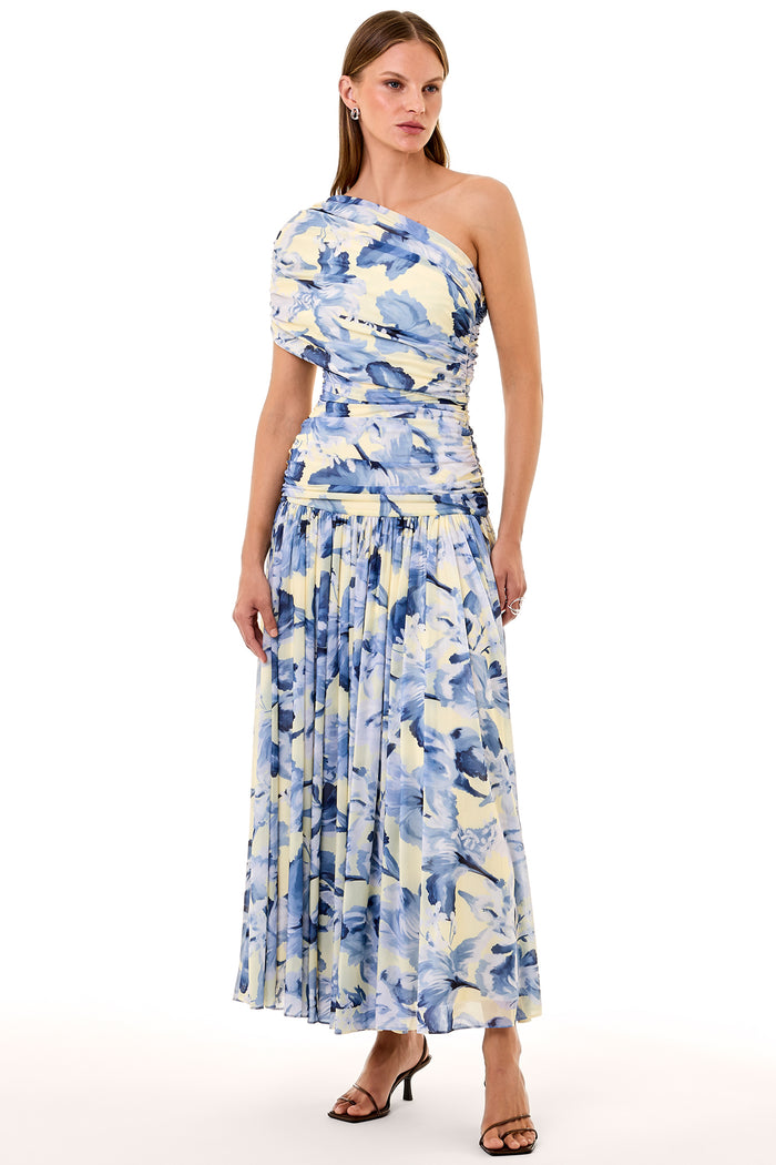 GAIA DRESS - LUNA SKY WILDFLOWER – NICHOLAS