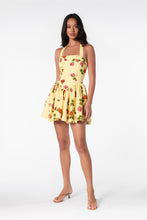 AMALIE DRESS - FALLEN ROSES